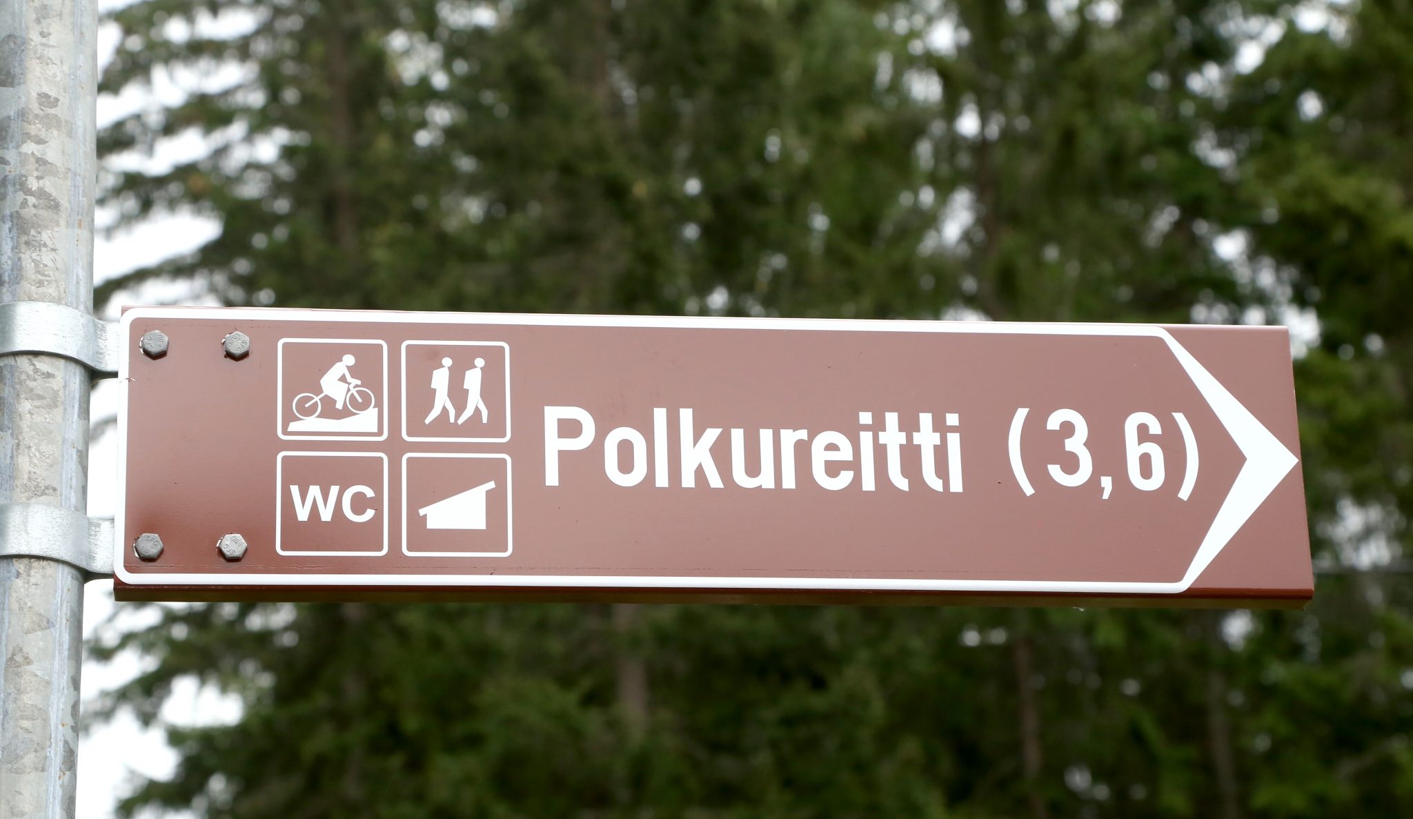 Linnaniemen rantojen polku merkattiin – reitti kutsuu kävelijöitä,  juoksijoita ja pyöräilijöitä | Ristiinalainen